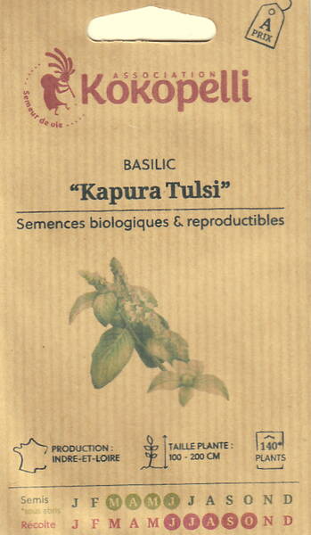 Camphor basil (African basil)